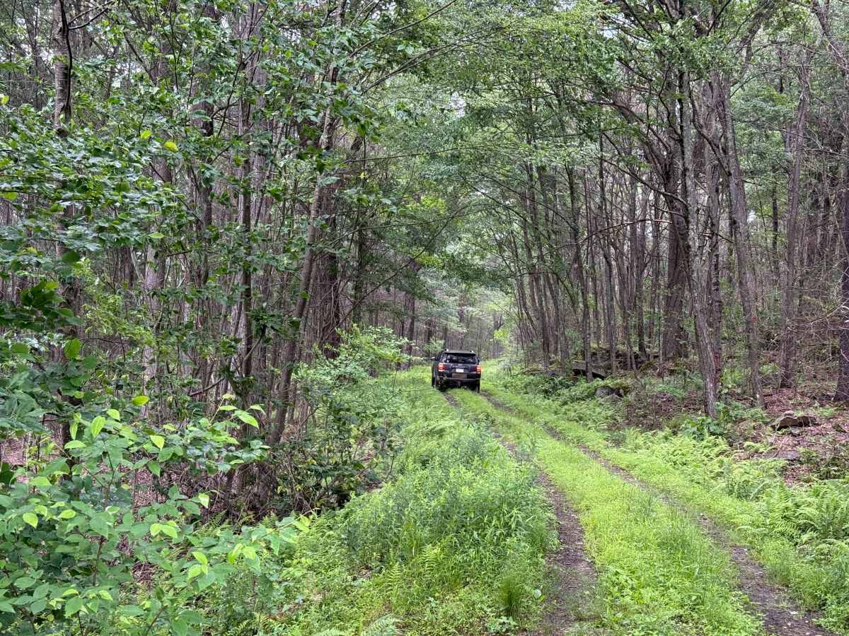 JCRAIG Adventure Trail photo 3