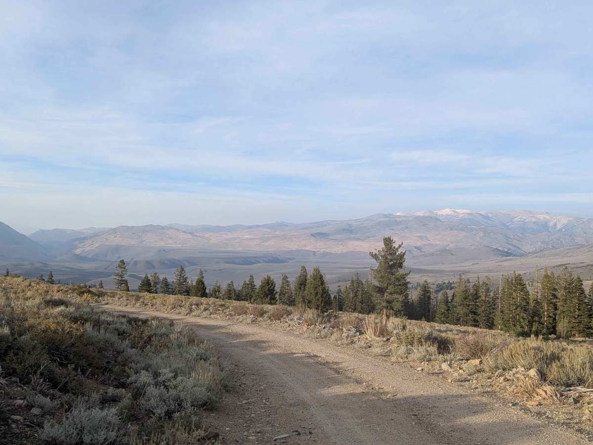 Stockade Flat Road trail photo