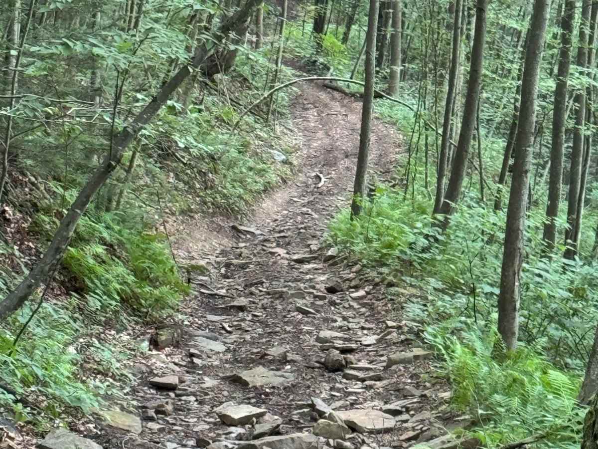 Trail 29 photo 4