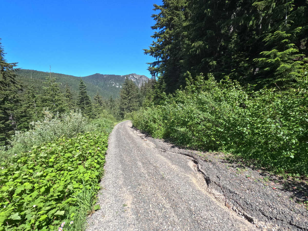 Thorp Creek - FS 4312 photo 4
