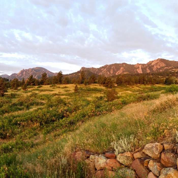 Near Lower Big Bluestem Trail