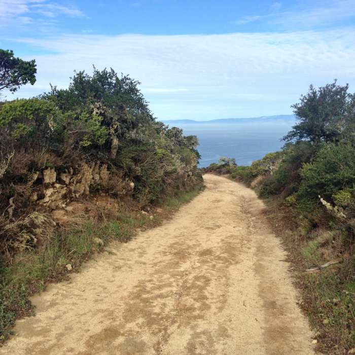 Near Montara Mountain from Gray Whale Cove