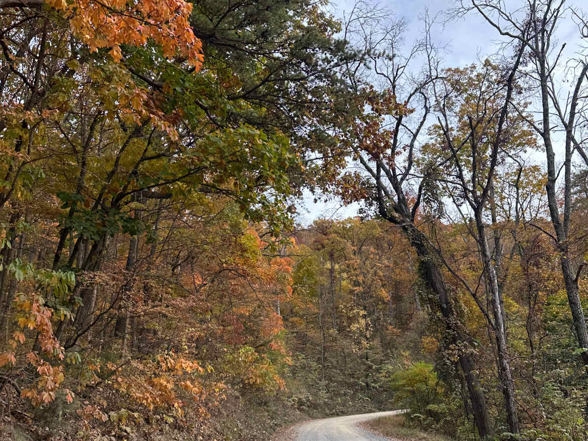 Woodstock Tower Road  trail photo