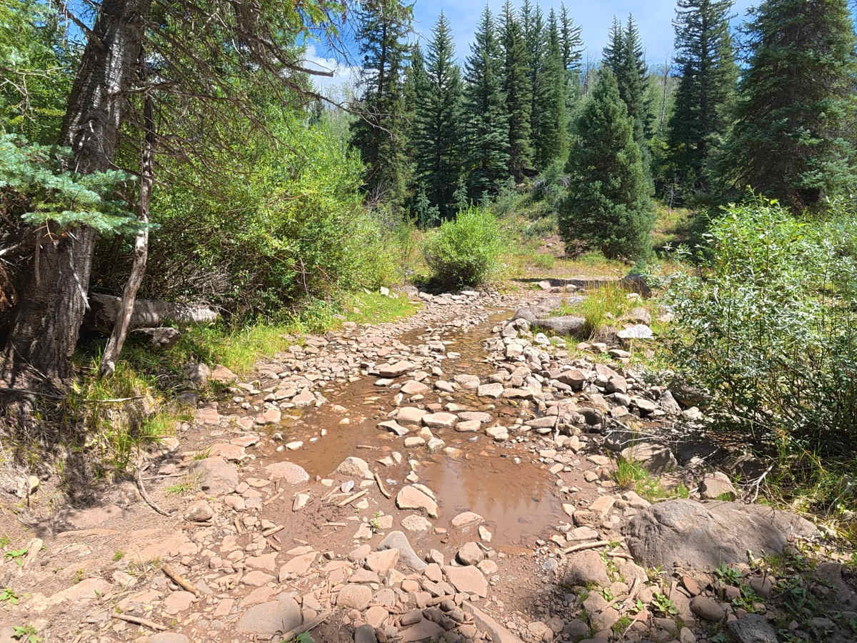 Fawn Creek Road photo 4