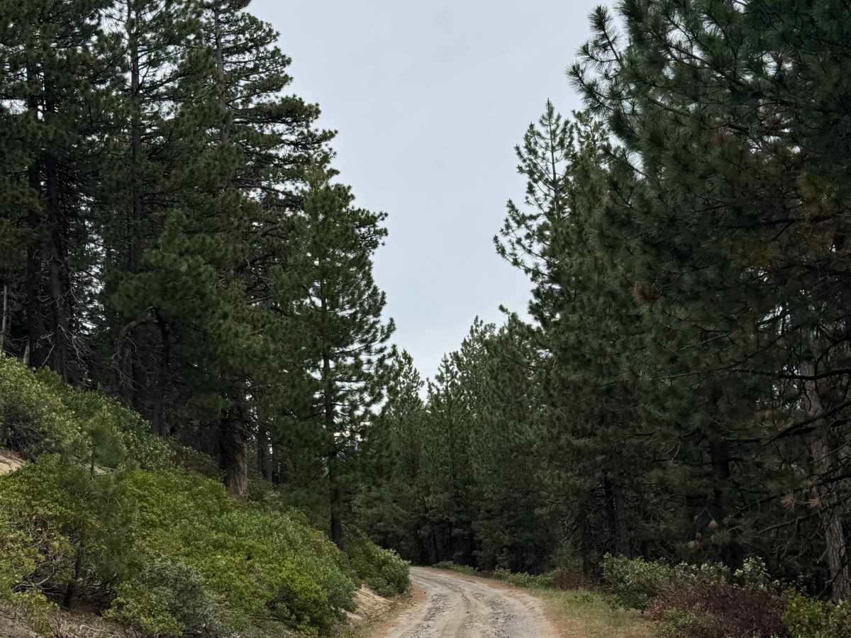 Odell Butte Lookout Trail photo 6