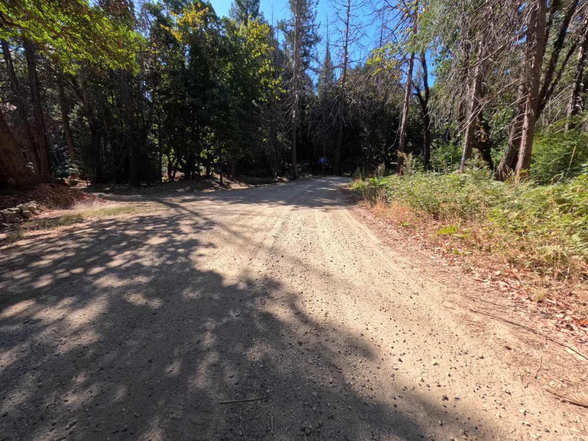 Bear Trap Springs Road - FS 69 trail photo