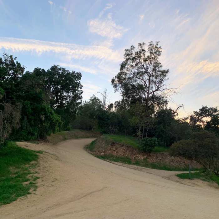 Near Commonwealth to Observatory Loop