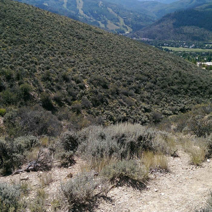 Near Knob Hill Trail