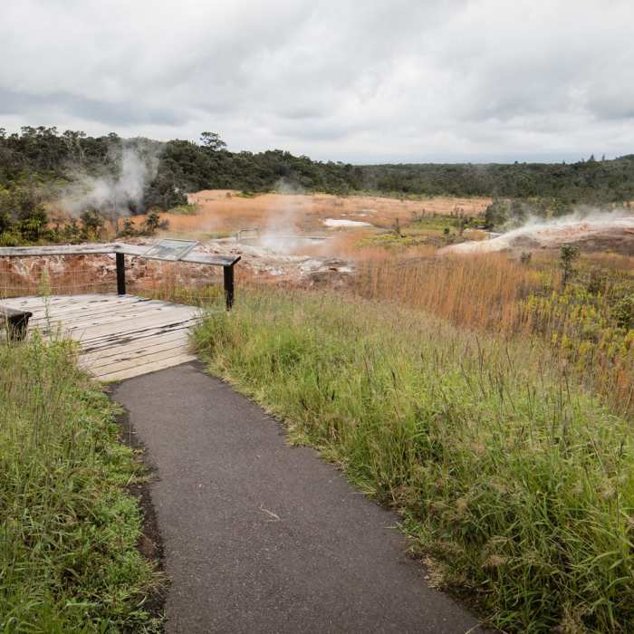 Near Sulphur Banks + Crater Rim Trail Loop