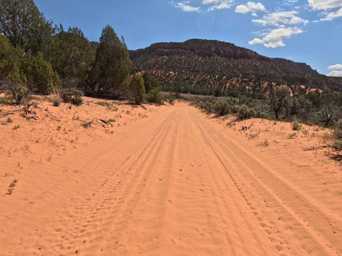 BLM 32  photo 6