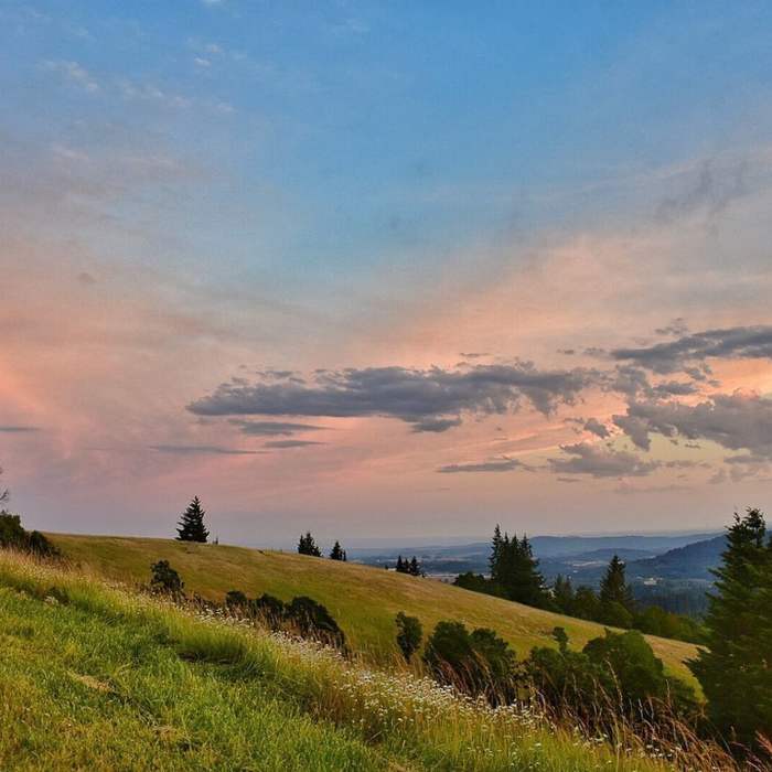 Near Bald Hill to Cardwell Hill