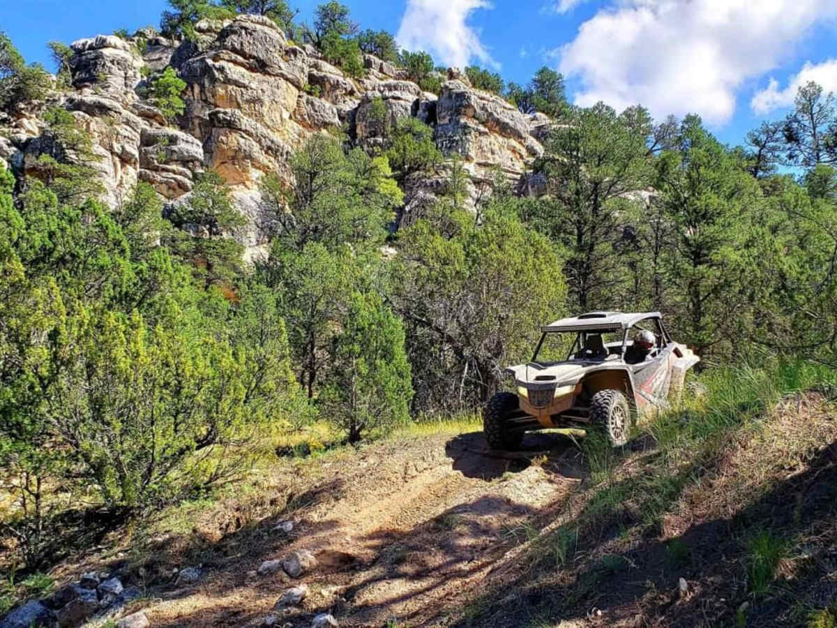 ATV 14 photo 2