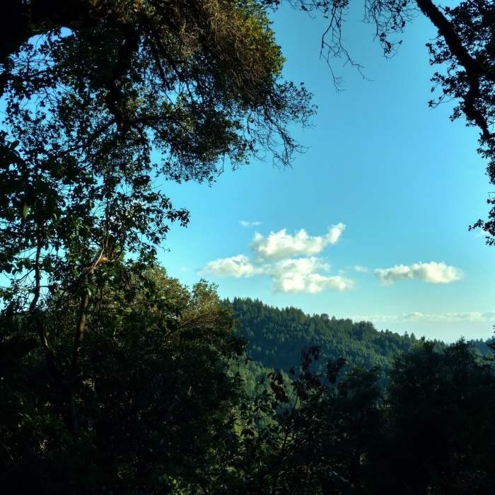 Near Ridge Trail