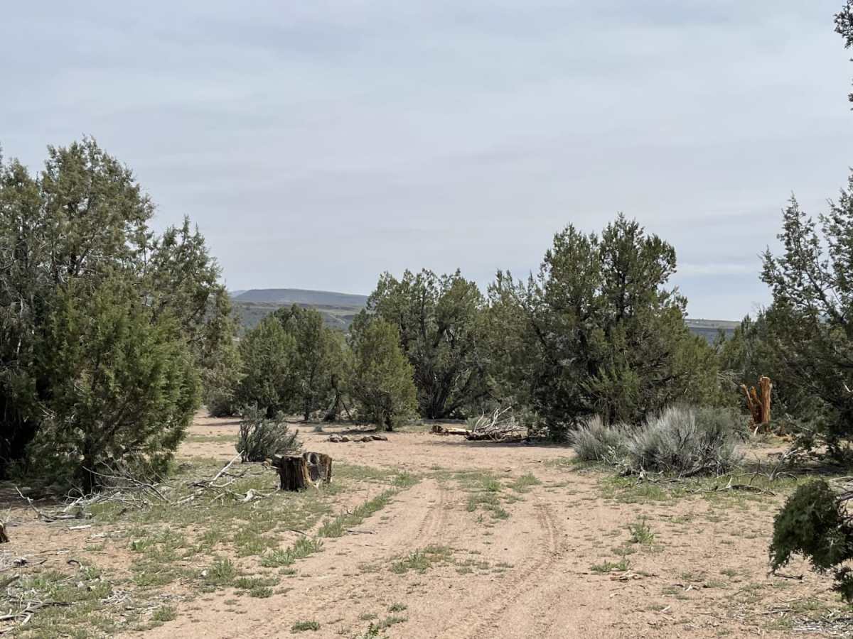 Dead End at Bowler Ranch photo 6