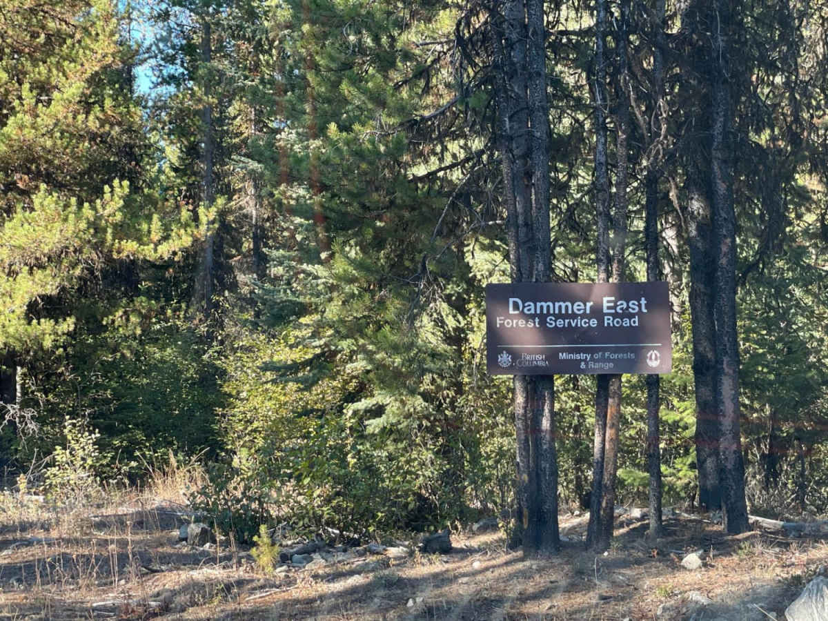 Damer Lake East trail photo