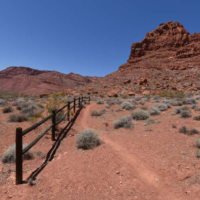 Near Whiptail Trail