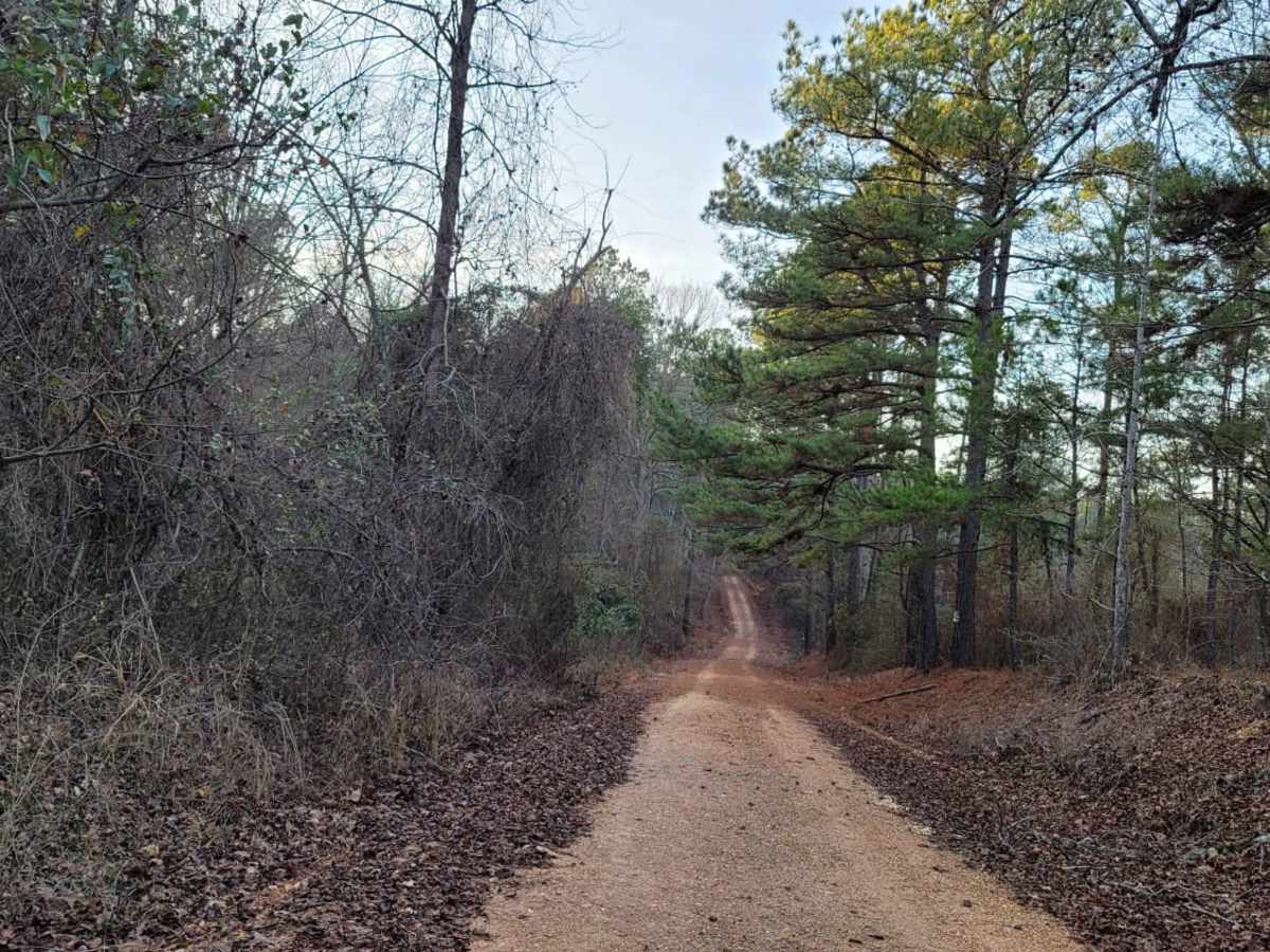 Country Route to White Oak Lake Group Campsite photo 3