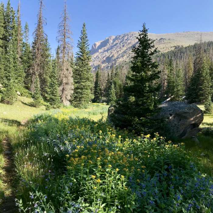 Near Black Canyon Trail