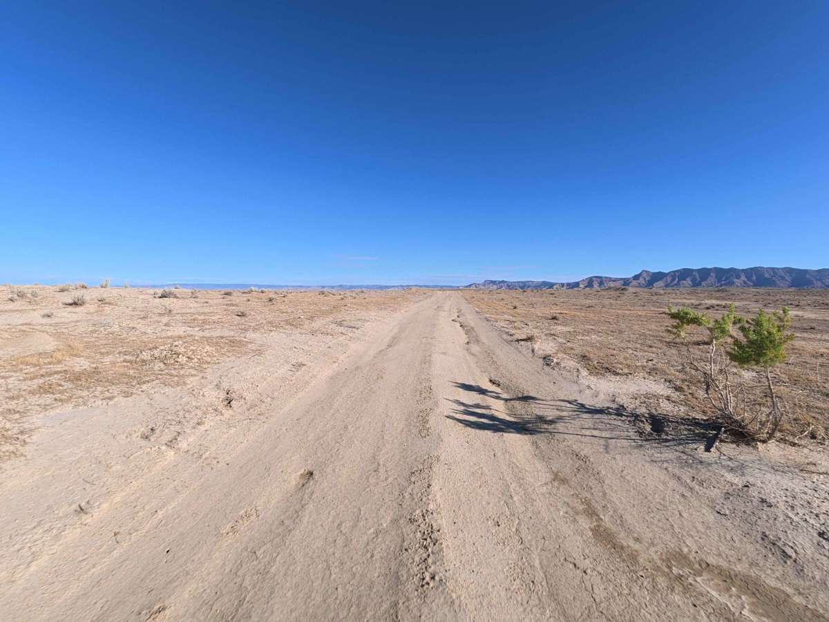BLM 175 photo 6