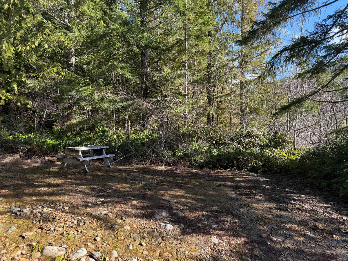 Healy lake photo 6
