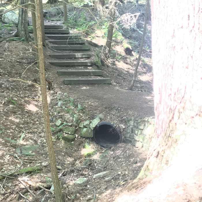 Near Longfellow Trail