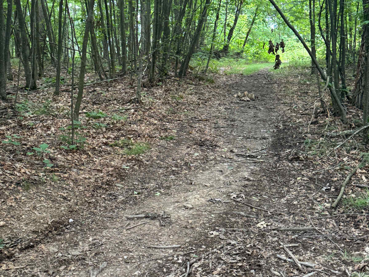 Trail 80 photo 4