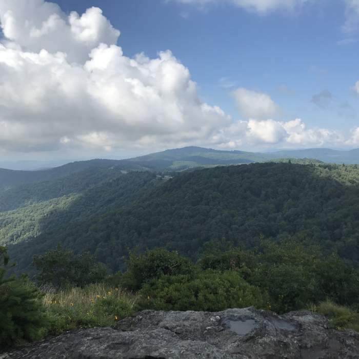 Near Alligator Rocks to Bluff Mountain