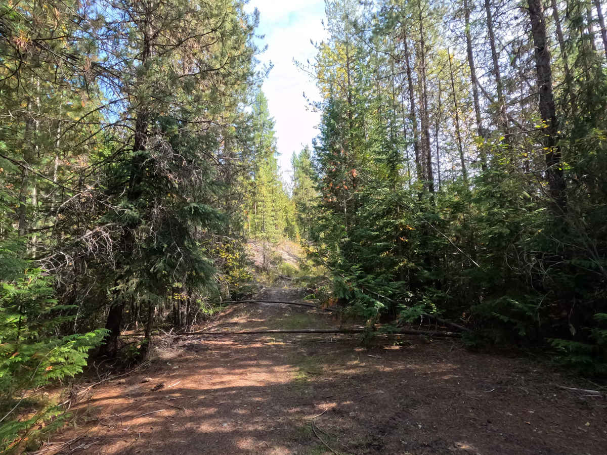 Kennett Meadows- FS 1700460 photo 6