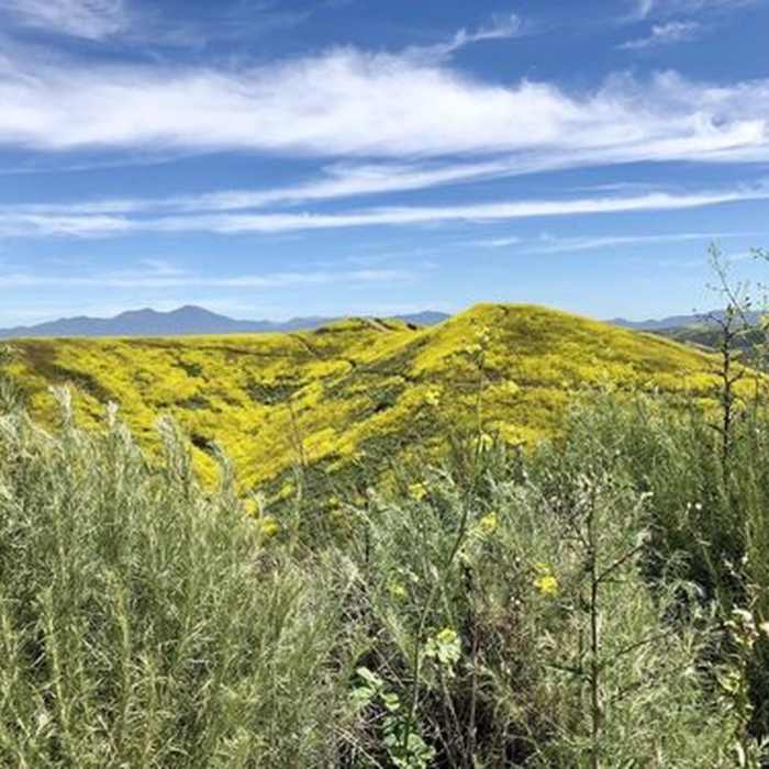 Near San Clemente Figure 8