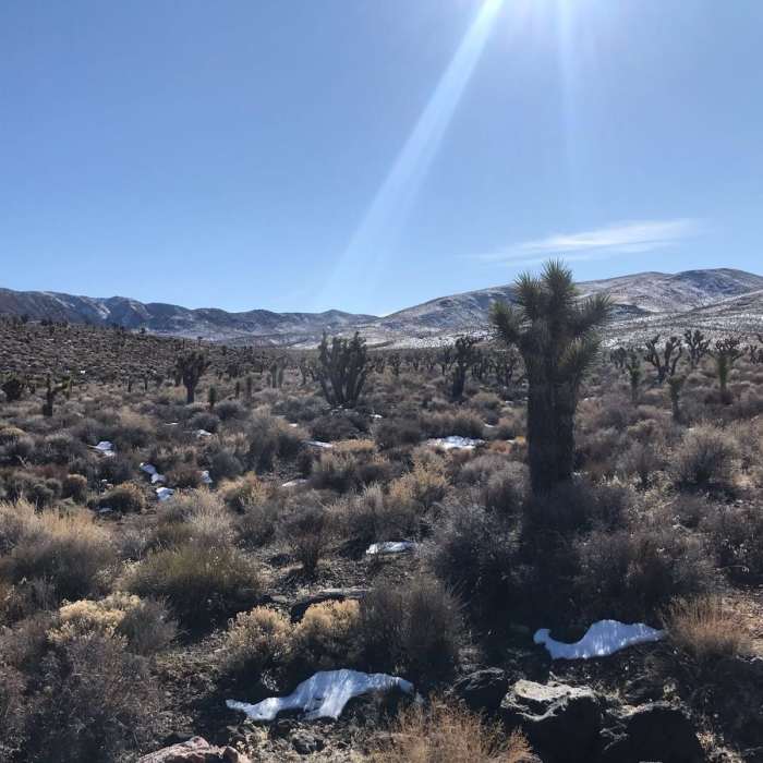 Near Lemoigne Canyon to Cottonwood-Marble Loop