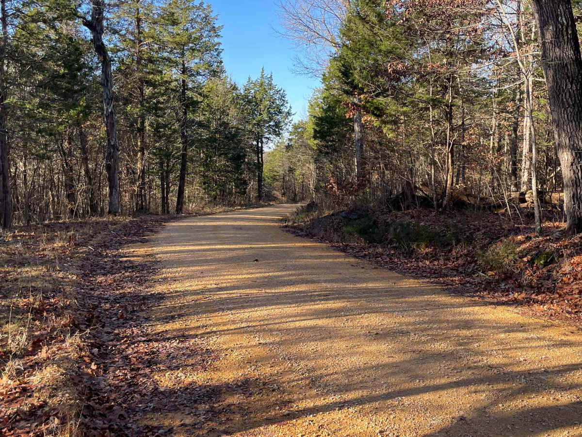Cheek's Bend Road photo 3