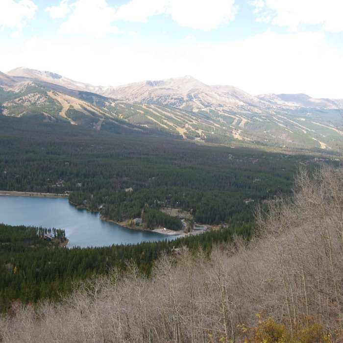 Near Boreas Pass Road