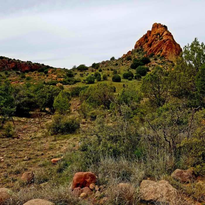 Peak at right of entry Near Towel Creek Trail #67