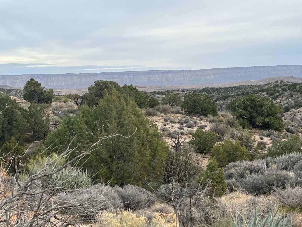 Hole-n-Wall Canyon - Segmiller Mountain photo 5