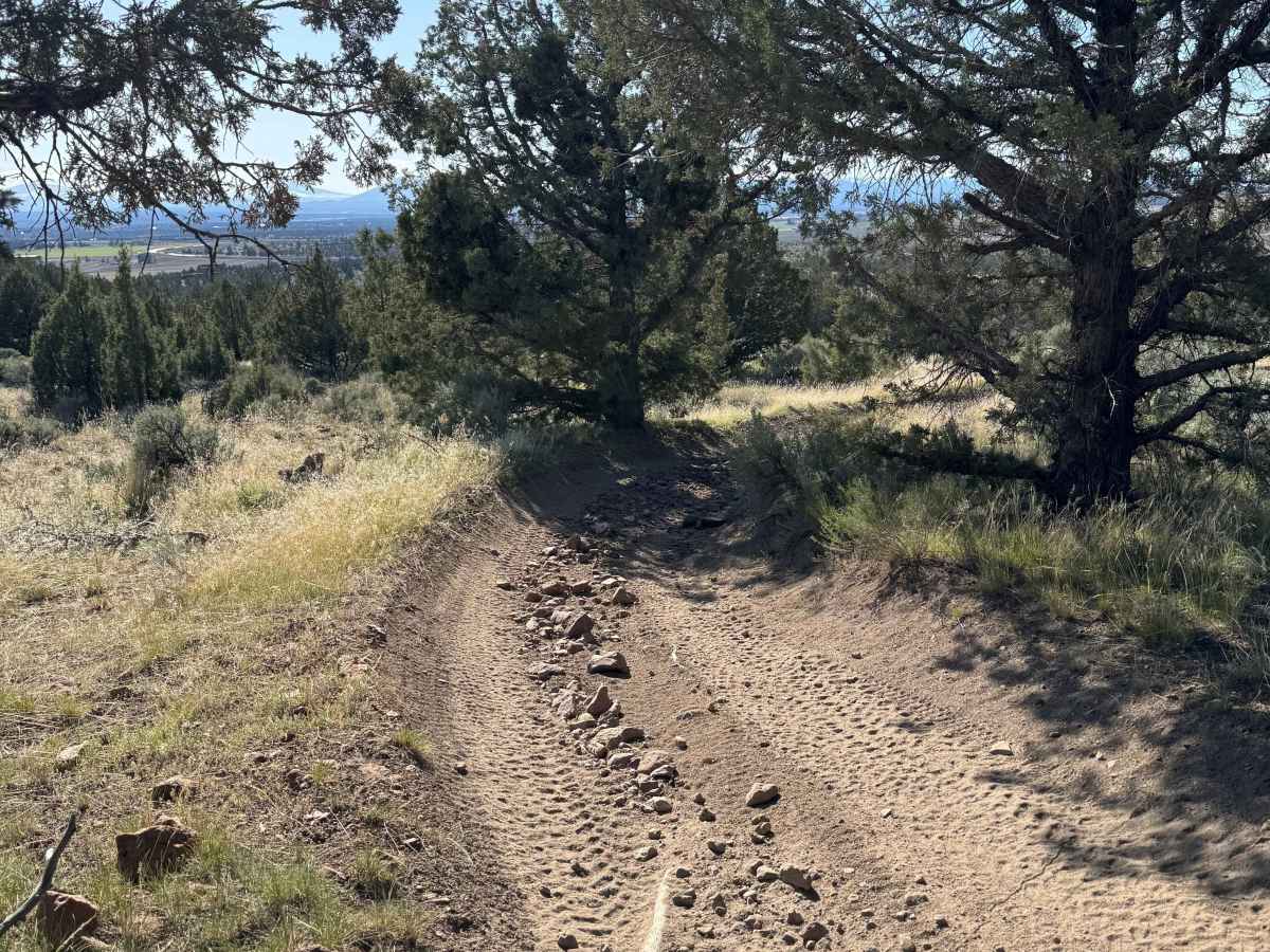 OHV Trail #10 photo 3