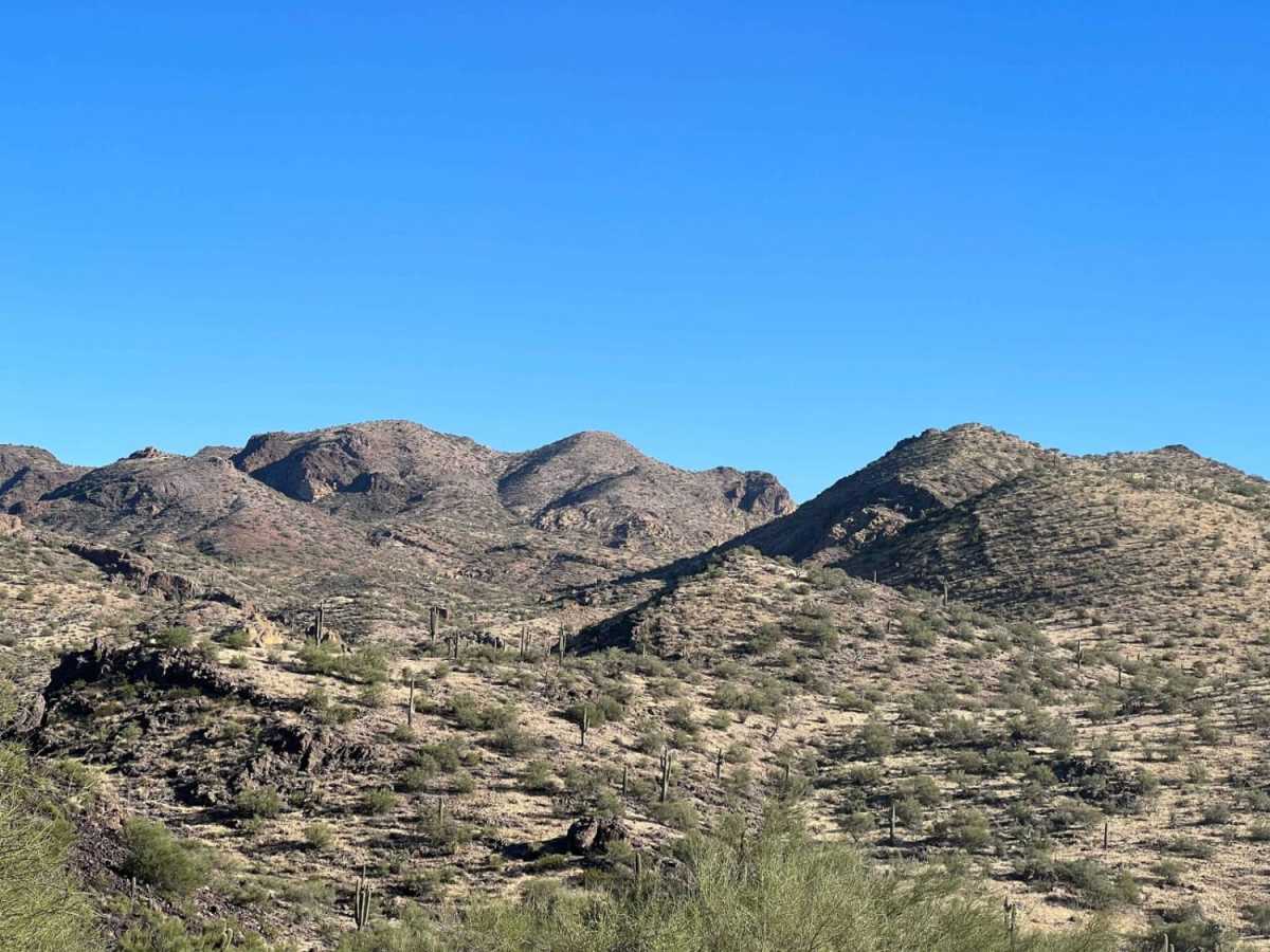 Backway to Alamo Lake photo 2