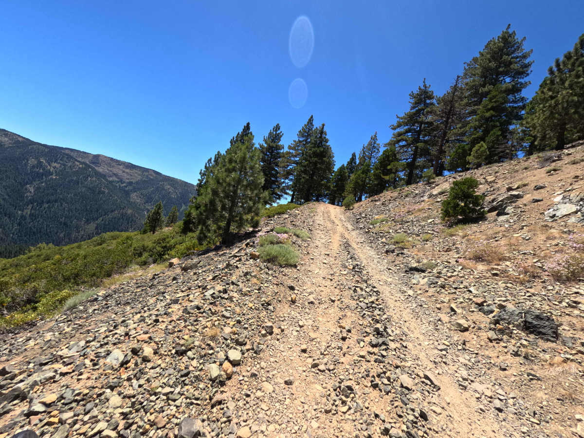 Butcher Ranch Road - FS 12E07 trail photo