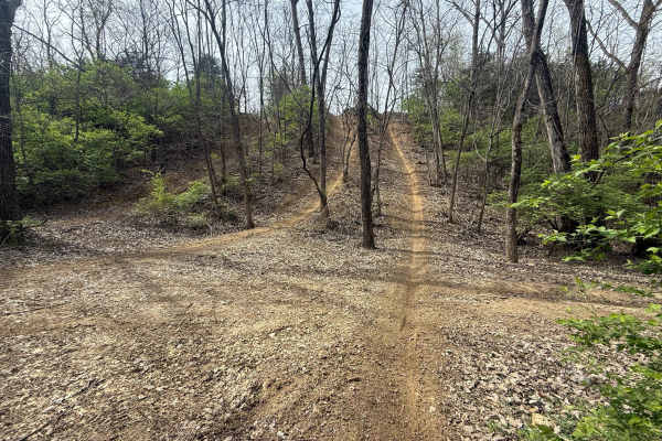 Hillclimb Trail 