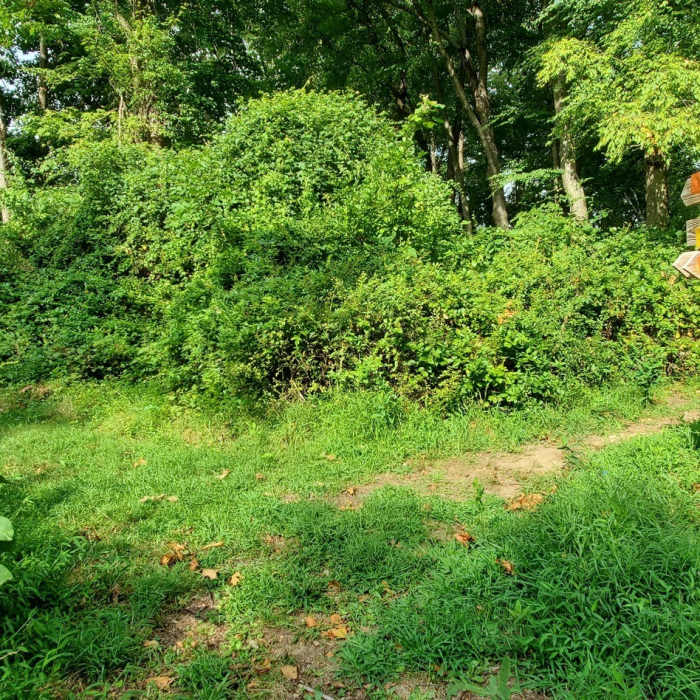 Near Teatown Lake Cliffdale Farm Double Loop