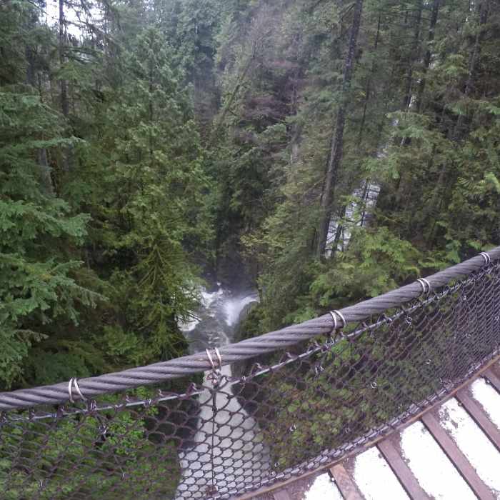Near Centennial Trail