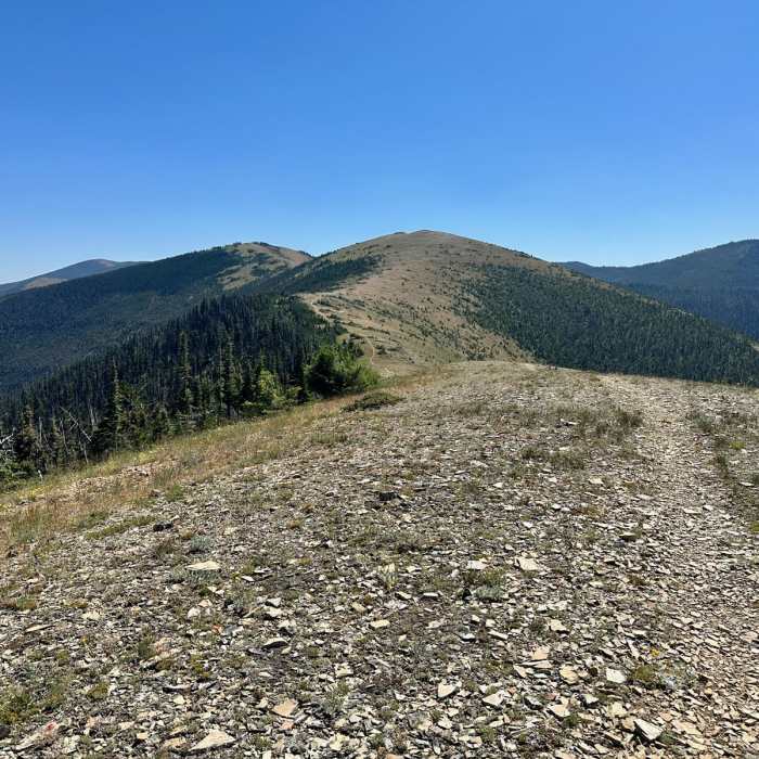 Near Continental Divide Trail: Montana-Idaho Section 22 Near Continental Divide Trail: Montana-Idaho Section 22