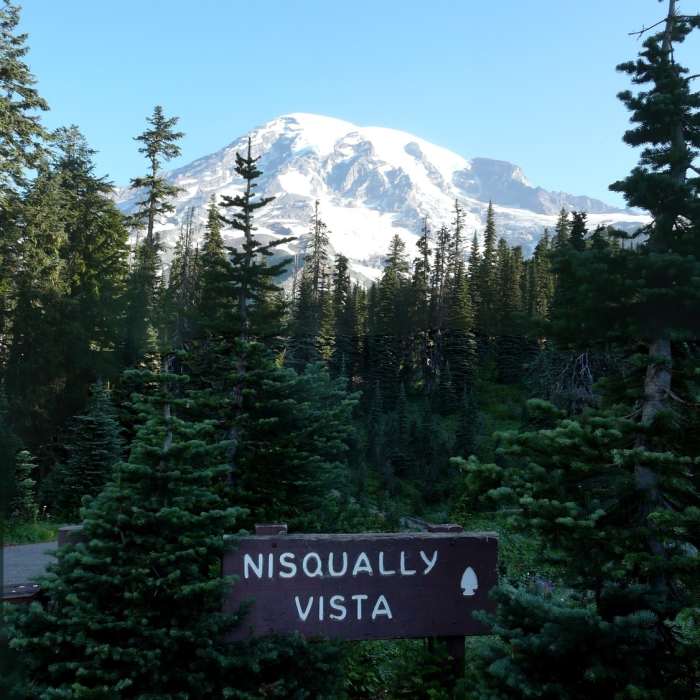 Near Nisqually Vista