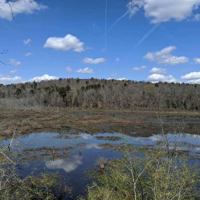 Near 40 Acre Rock Trail