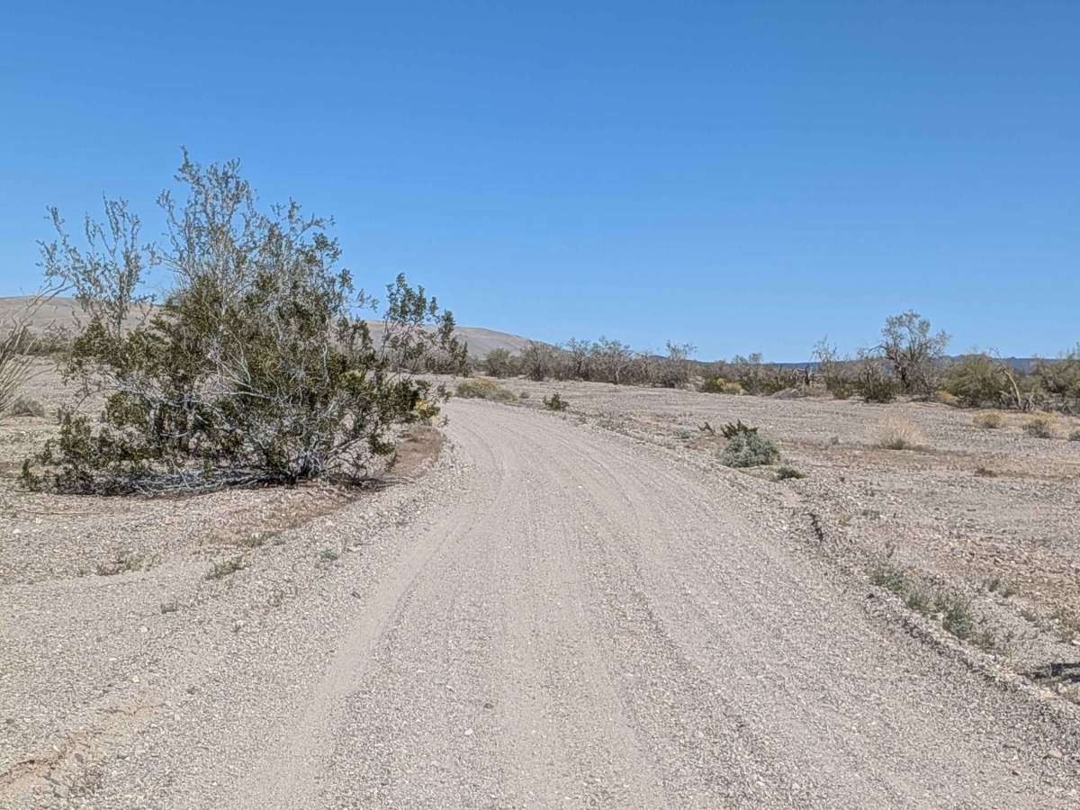 BLM 617 photo 4