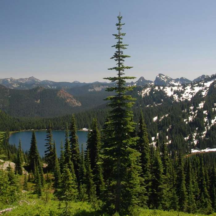 Near Dewey + Anderson Lakes