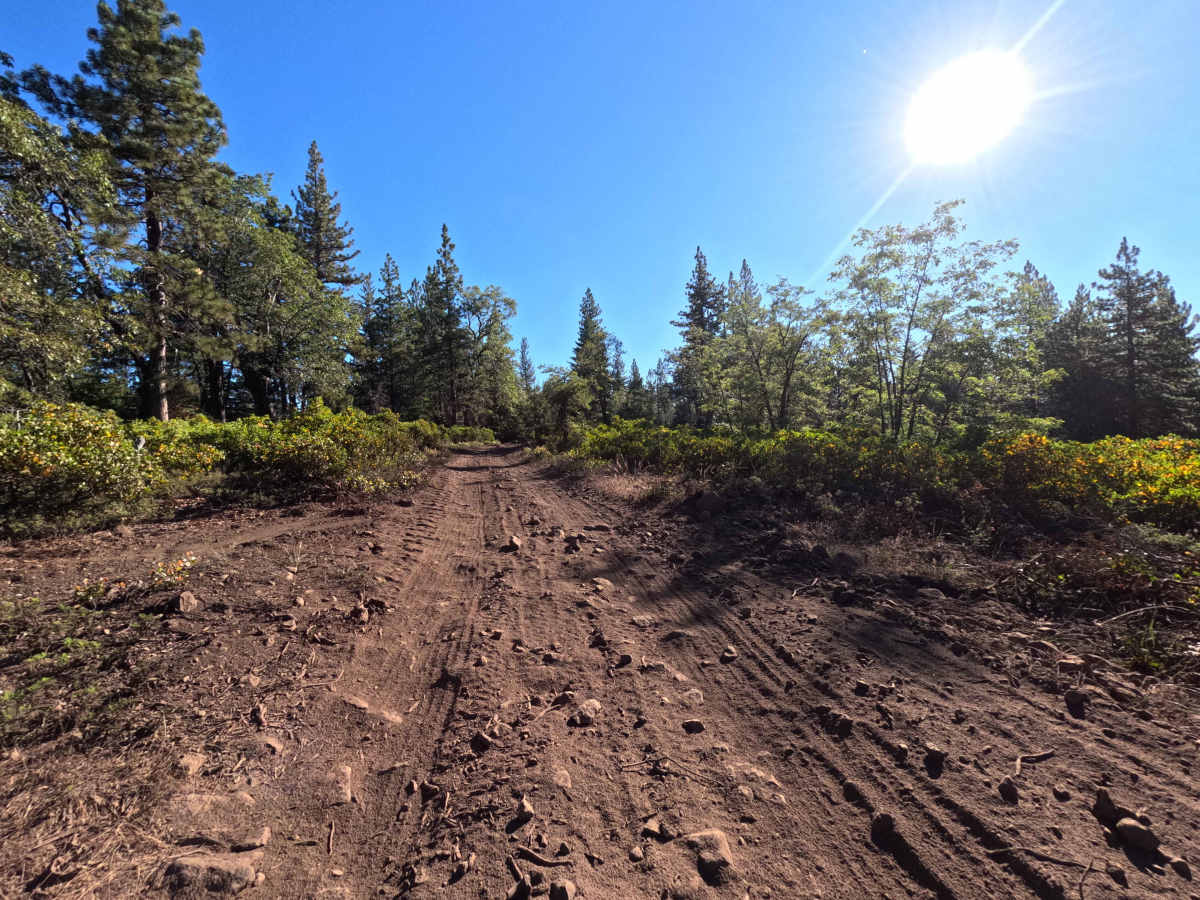 FS 17EV53 photo 3