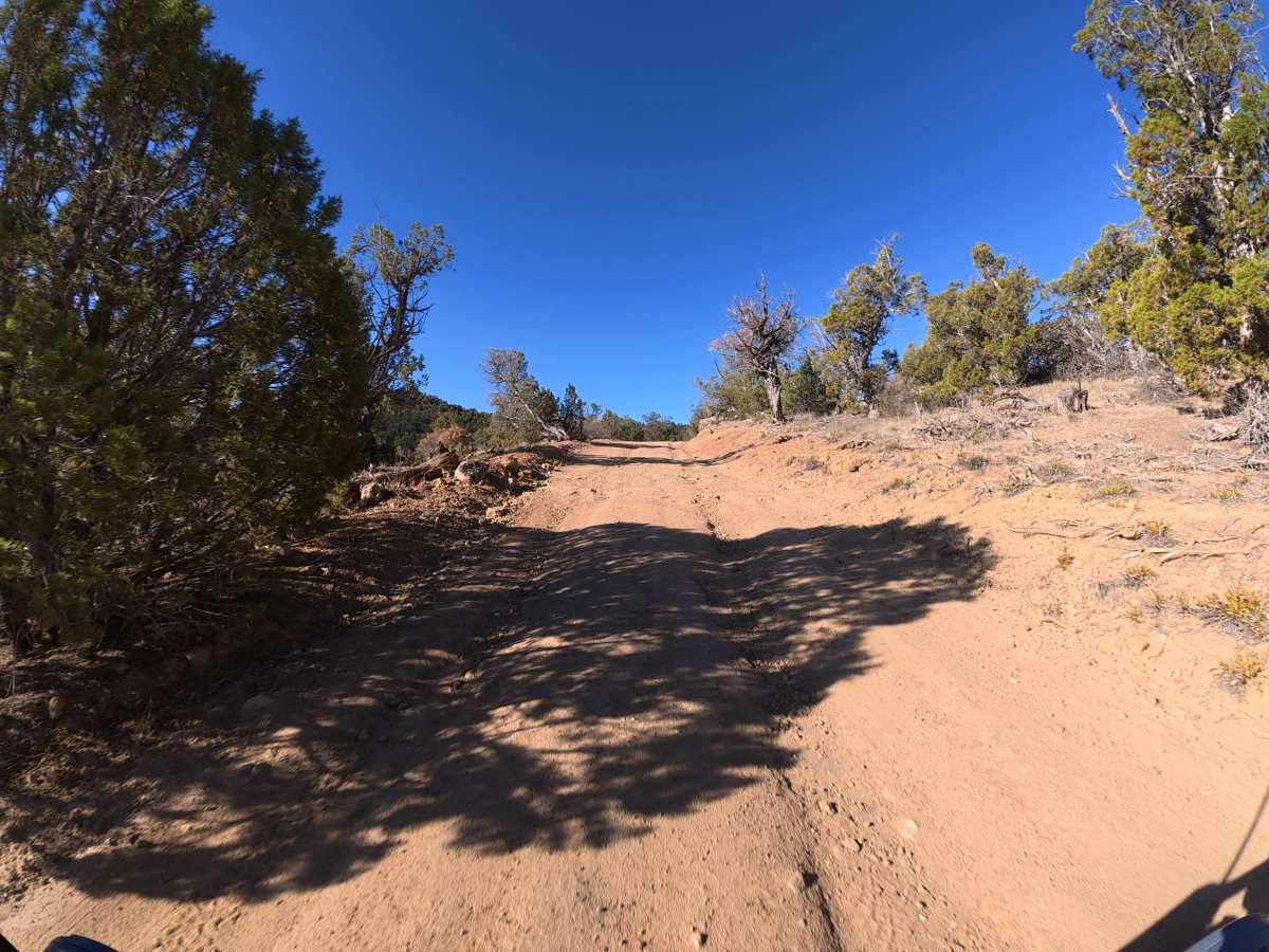 CR 36.2 photo 2