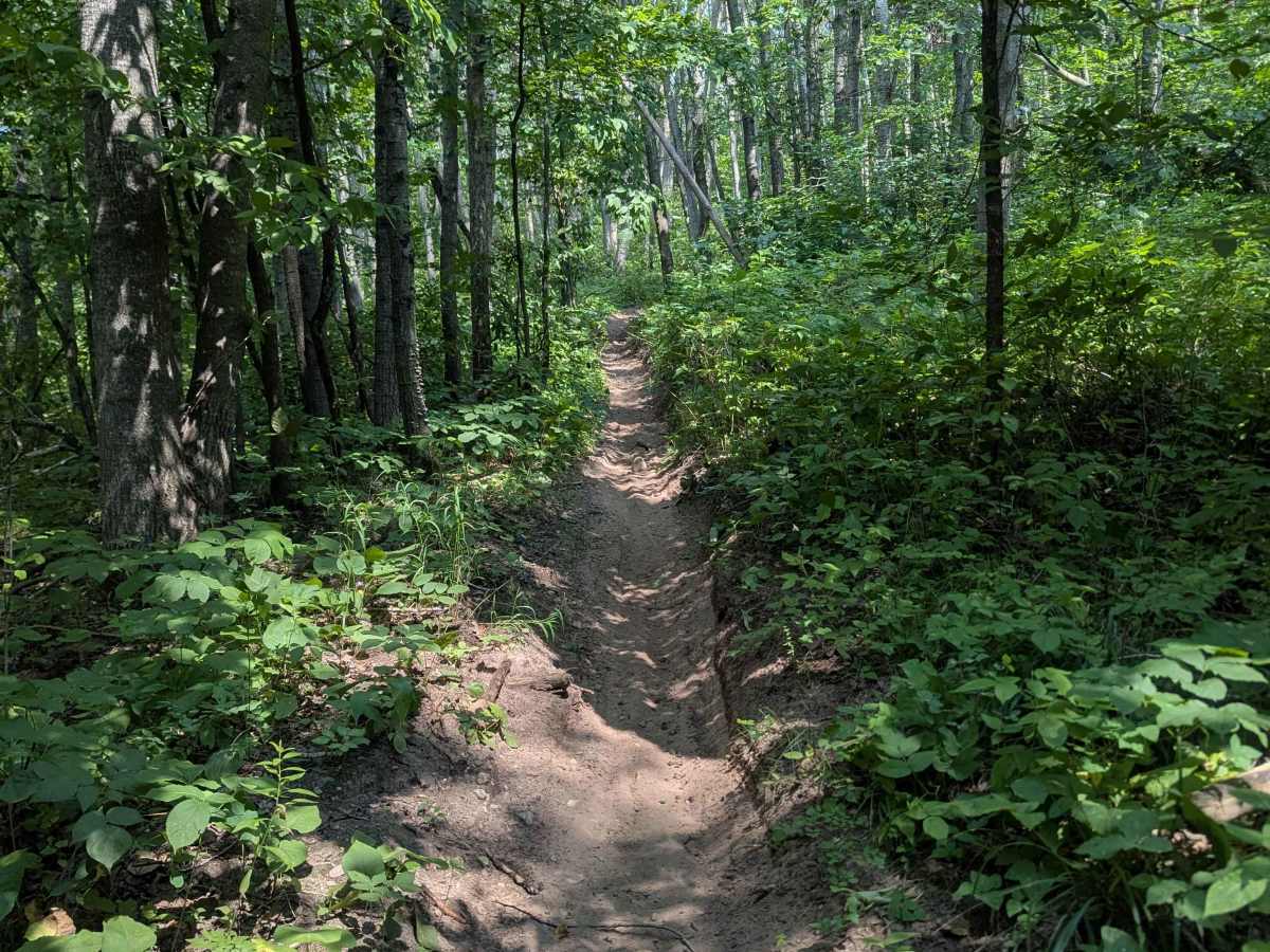 Outer Loop photo 4