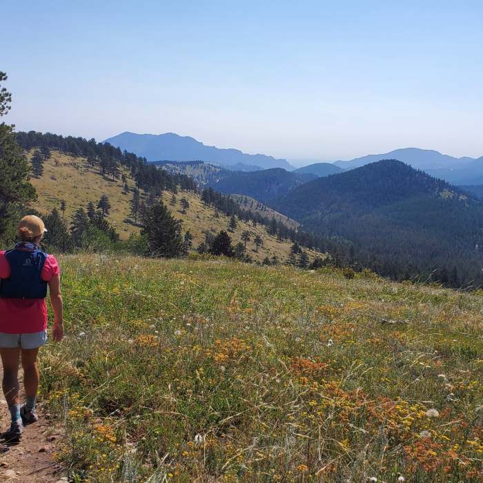 Near Winnegar Ridge Trail #359.1B