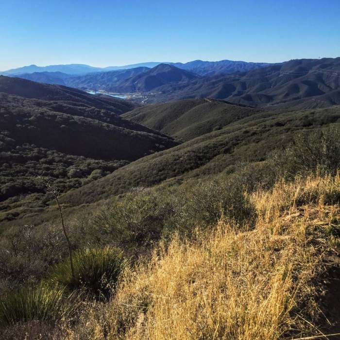 Near Leona Divide Loop